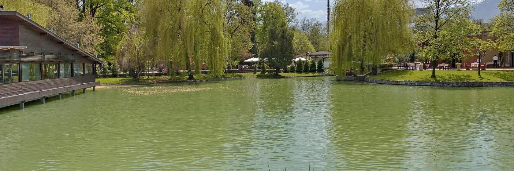 Borisova gradina